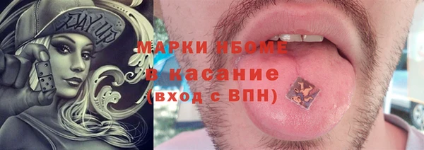 соль ск Каменка
