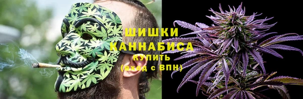 стаф Каменск-Шахтинский