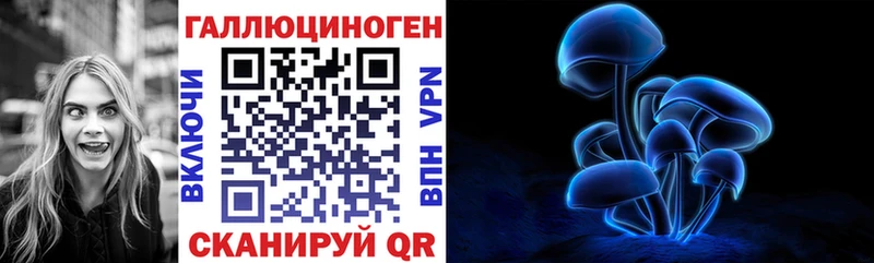Купить где  Ковылкино  Галлюциногенные грибы мухоморы 